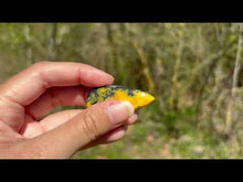 Charger et lire la vidéo dans la visionneuse de la Galerie, Jaspe Bumblebee 35