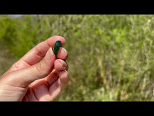 Charger et lire la vidéo dans la visionneuse de la Galerie, Jade Néphrite 13