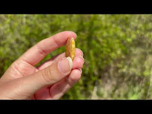 Charger et lire la vidéo dans la visionneuse de la Galerie, Jaspe Océan 16