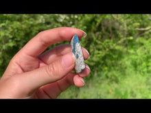 Charger et lire la vidéo dans la visionneuse de la Galerie, Jaspe K2 22