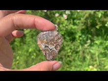 Charger et lire la vidéo dans la visionneuse de la Galerie, Agate sagénitique 11