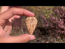Charger et lire la vidéo dans la visionneuse de la Galerie, Calcite 20
