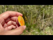 Charger et lire la vidéo dans la visionneuse de la Galerie, Jaspe Bumblebee 29