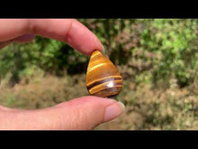 Charger et lire la vidéo dans la visionneuse de la Galerie, Oeil de tigre 20