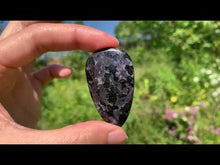 Charger et lire la vidéo dans la visionneuse de la Galerie, Gabbro 3