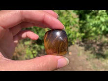 Charger et lire la vidéo dans la visionneuse de la Galerie, Oeil de tigre 27