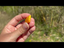 Charger et lire la vidéo dans la visionneuse de la Galerie, Jaspe Bumblebee 27