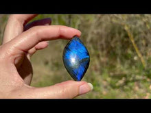 Charger et lire la vidéo dans la visionneuse de la Galerie, Labradorite 338