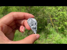 Charger et lire la vidéo dans la visionneuse de la Galerie, Pinolite 11