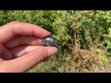 Charger et lire la vidéo dans la visionneuse de la Galerie, VENDU Jaspe à turritelles 13