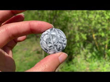 Charger et lire la vidéo dans la visionneuse de la Galerie, Pinolite 8