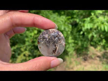 Charger et lire la vidéo dans la visionneuse de la Galerie, Agate sagénitique 32