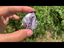 Charger et lire la vidéo dans la visionneuse de la Galerie, Kammererite 13