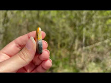 Charger et lire la vidéo dans la visionneuse de la Galerie, Jaspe Bumblebee 26