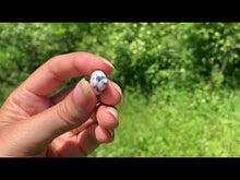 Charger et lire la vidéo dans la visionneuse de la Galerie, VENDU Agate dendritique 48