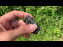 Charger et lire la vidéo dans la visionneuse de la Galerie, Agate sagénitique 12