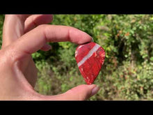 Charger et lire la vidéo dans la visionneuse de la Galerie, Jaspe peau de serpent 17