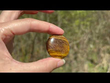 Charger et lire la vidéo dans la visionneuse de la Galerie, Oeil de tigre 66