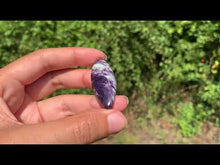 Charger et lire la vidéo dans la visionneuse de la Galerie, Kammererite 23