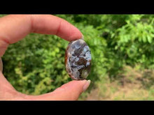 Charger et lire la vidéo dans la visionneuse de la Galerie, Agate sagénitique 31