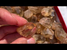 Charger et lire la vidéo dans la visionneuse de la Galerie, Citrine brut 61