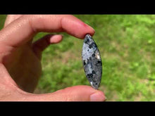 Charger et lire la vidéo dans la visionneuse de la Galerie, Larvikite 14