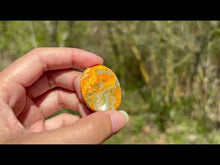 Charger et lire la vidéo dans la visionneuse de la Galerie, Jaspe Bumblebee 32