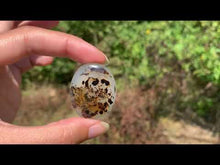 Charger et lire la vidéo dans la visionneuse de la Galerie, Agate du Montana 2