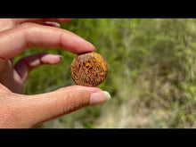 Charger et lire la vidéo dans la visionneuse de la Galerie, Jaspe Mariam 19