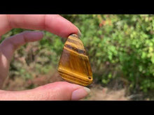 Charger et lire la vidéo dans la visionneuse de la Galerie, Oeil de tigre 54