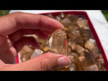 Charger et lire la vidéo dans la visionneuse de la Galerie, Citrine brut 82