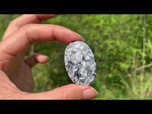 Charger et lire la vidéo dans la visionneuse de la Galerie, Pinolite 16