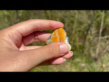 Charger et lire la vidéo dans la visionneuse de la Galerie, Jaspe Bumblebee 34