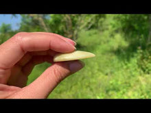 Charger et lire la vidéo dans la visionneuse de la Galerie, Jaspe vert 11