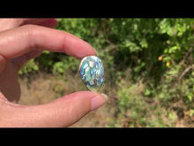 Charger et lire la vidéo dans la visionneuse de la Galerie, VENDU Abalone 42