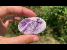 Charger et lire la vidéo dans la visionneuse de la Galerie, Kammererite 9