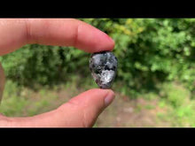 Charger et lire la vidéo dans la visionneuse de la Galerie, Larvikite 20