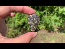 Charger et lire la vidéo dans la visionneuse de la Galerie, Jaspe à turritelles 14