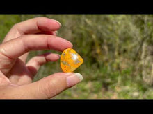 Charger et lire la vidéo dans la visionneuse de la Galerie, Jaspe Bumblebee 25