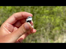 Charger et lire la vidéo dans la visionneuse de la Galerie, Jaspe Zebré 12