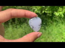 Charger et lire la vidéo dans la visionneuse de la Galerie, Agate dendritique 69