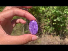 Charger et lire la vidéo dans la visionneuse de la Galerie, Charoïte 30