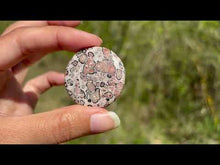 Charger et lire la vidéo dans la visionneuse de la Galerie, Jaspe Léopard 8