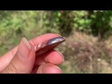 Charger et lire la vidéo dans la visionneuse de la Galerie, VENDU Agate Crazy Lace 19