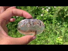 Charger et lire la vidéo dans la visionneuse de la Galerie, Agate sagénitique 9