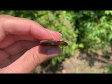 Charger et lire la vidéo dans la visionneuse de la Galerie, Oeil de tigre 29