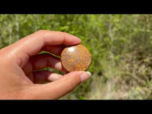 Charger et lire la vidéo dans la visionneuse de la Galerie, Jaspe Mariam 18