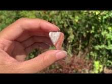 Charger et lire la vidéo dans la visionneuse de la Galerie, Agate Crazy Lace 32