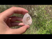 Charger et lire la vidéo dans la visionneuse de la Galerie, Agate Fleurie 2