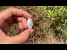 Charger et lire la vidéo dans la visionneuse de la Galerie, Quartz solaire polis 8